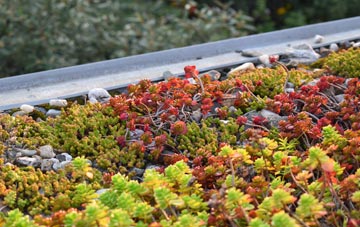 the cost of Grinstead Hill green roof installation