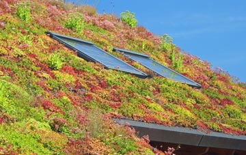 Grinstead Hill living roof systems